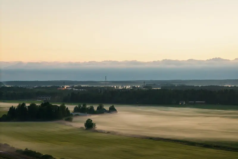 Ilmakuva usvaisesta peltomaisemasta ja metsänreunasta auringonnousun aikaan.